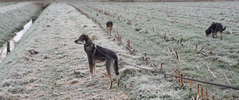 Samen wandelen, jij, ik en wij